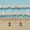 Natural White Shell Dyed Beads Strands BSHE-Z005-03G-4