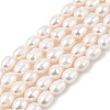 Natural Cultured Freshwater Pearl Beads Strands PEAR-I007-01D-06A-02-2