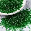 MIYUKI Round Rocailles Beads SEED-G008-RR0145-1
