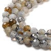 Natural Labradorite Beads Strands G-G161-A09-03-4