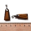 Natural Tiger Eye Faceted Pendants G-F774-02E-3