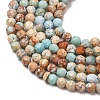 Natural Imperial Jasper Beads Strands G-L578-A14-4