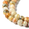 Natural Crazy Lace Agate Round Bead Strands X-G-E334-4mm-20-4