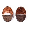 Transparent Resin and Walnut Wood Pendants RESI-T057-04C-2