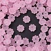 Frosted Transparent Acrylic Beads X1-OACR-P029-03B-05-1