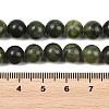 Natural Gemstone Beads Z0NCT013-4