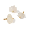 Natural White Moonstone Pendants GG-CBACE45-01G-04-2