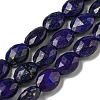 Natural Lapis Lazuli Beads Strands G-P544-D04-01-1