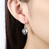 925 Sterling Silver Earrings EJEW-BB17727-7