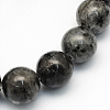 Natural Larvikite Round Beads Strands LS-G-S159-6mm-1