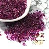 Transparent Baking Paint Glass Seed Beads SEED-A033-06A-14-1