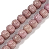 Natural Rhodonite Beads Strands G-Z080-B19-8x6mm-2