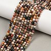Natural Alashan Agate Beads Strands G-C181-B05-03-1
