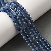 Natural Kyanite Beads Strands G-F799-E01-4mm-1