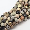 Natural Polychrome Jasper/Picasso Stone/Picasso Jasper Nuggets Beads Strands G-P092-25-1