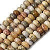 Natural Crazy Agate Beads Strands G-G102-C11-01-2
