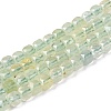 Natural Prehnite Beads Strands G-N342-125-1