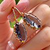 Alloy Cubic Zirconia Dangle Earrings FS-WGEFC92-02-1