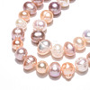 Natural Cultured Freshwater Pearl Beads Strands PEAR-N013-05C-03-4