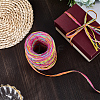 6 Colors Raffia Paper Cords OCOR-WH0063-110A-7