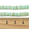 Dyed Natural Freshwater Shell Beads Strands BSHE-G039-07E-4