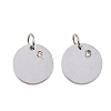316 Surgical Stainless Steel Pendants STAS-J038-06P-1