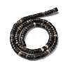 Natural Biotite Beads Strands G-L624-I12-3x6mm-3