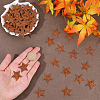 Rust Iron Pendants IFIN-GF0001-61B-3