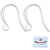 10Pcs 925 Sterling Silver Earring Hooks STER-BBC0007-12-1