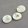 Freshwater Shell Pendants X-SSHEL-S249-M-2