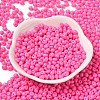 6/0 Opaque Baking Paint Glass Seed Beads X1-SEED-M012-02A-22-2