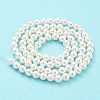 Electroplated Shell Pearl Beads Strands SHEL-F008-03A-01-3