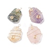 Natural Gemstone Pendants PALLOY-JF01441-1