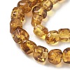 Natural Amber Beads Strands G-L095-E01-06-4