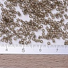 MIYUKI Delica Beads Small SEED-X0054-DBS0123-4