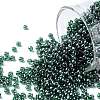TOHO Round Seed Beads SEED-XTR11-0118-1