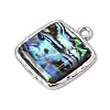 304 Stainless Steel & Natural Paua Shell Pendants SH-CBA7184-01G-P-2