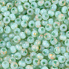 6/0 Glass Seed Beads SEED-N008-07D-3
