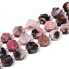 Natural Rhodonite Beads Strands G-P534-A16-01-4