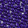 6/0 Glass Seed Beads SEED-S058-A-F304-3