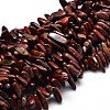 Natural Brecciated Jasper Chip Beads Strands X-G-E271-21-1