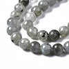 Natural Labradorite Round Beads Strands X-G-S158-6mm-3