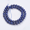 Natural Lapis Lazuli(Filled Color Glue) Beads Strands X-G-K269-02-8mm-2
