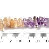 Natural Citrine & Amethyst Beads Strands G-L610-A06-B01-4