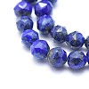 Natural Lapis Lazuli Beads Strands G-I249-B11-03-3