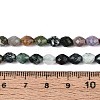 Natural Indian Agate Beads Strands G-T142-83-5