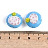 Handmade Lampwork Bumpy Beads Strands LAMP-Q002-02F-4