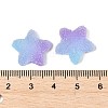 Imitation Candy Food Style Resin Cabochons X1-RESI-R461-02N-3