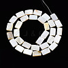 Natural Freshwater Shell Beads Strands X-SHEL-Q024-013-2