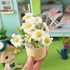 Mini Plastic Daisy Potted Plant Ornaments PW-WGEEA12-01-5